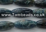 CAP310 15.5 inches 11*25mm rice natural apatite gemstone beads