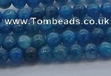 CAP360 15.5 inches 4mm round apatite gemstone beads wholesale