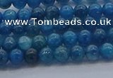 CAP360 15.5 inches 4mm round apatite gemstone beads wholesale