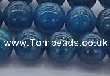 CAP363 15.5 inches 10mm round apatite gemstone beads wholesale