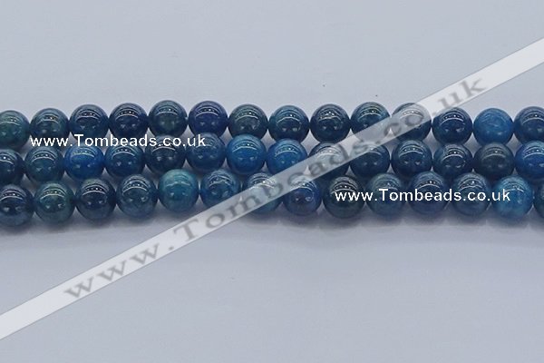 CAP363 15.5 inches 10mm round apatite gemstone beads wholesale