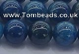 CAP364 15.5 inches 12mm round apatite gemstone beads wholesale