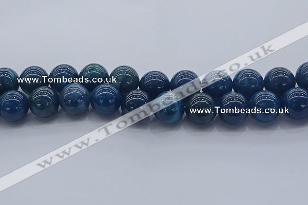 CAP367 15.5 inches 18mm round apatite gemstone beads wholesale