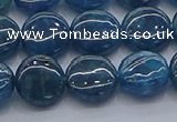 CAP381 15.5 inches 10mm flat round apatite gemstone beads