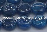 CAP382 15.5 inches 12mm flat round apatite gemstone beads