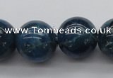 CAP404 15.5 inches 12mm round A grade natural apatite beads