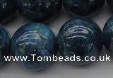 CAP405 15.5 inches 14mm round A grade natural apatite beads