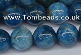 CAP414 15.5 inches 12mm round apatite gemstone beads wholesale
