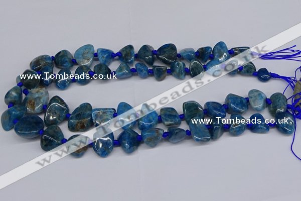 CAP532 15.5 inches 10*12mm - 16*22mm freeform apatite beads