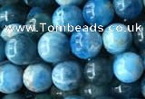 CAP577 15.5 inches 6mm round apatite beads wholesale