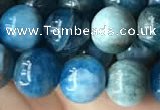 CAP579 15.5 inches 10mm round apatite beads wholesale