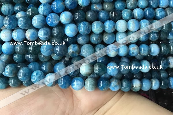 CAP579 15.5 inches 10mm round apatite beads wholesale