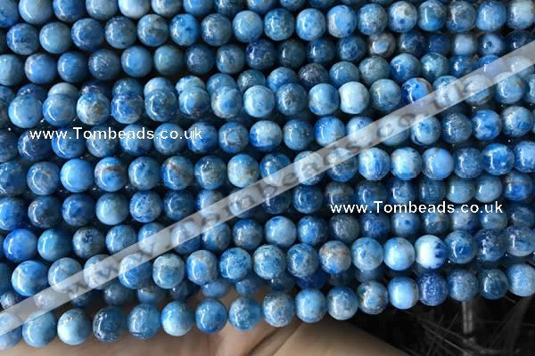 CAP583 15.5 inches 6mm round apatite gemstone beads