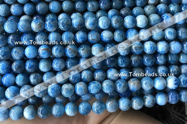 CAP584 15.5 inches 8mm round apatite gemstone beads