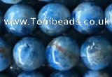 CAP585 15.5 inches 10mm round apatite beads wholesale