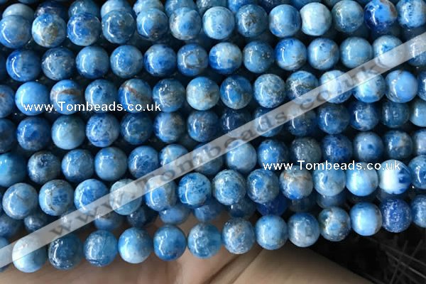 CAP585 15.5 inches 10mm round apatite beads wholesale