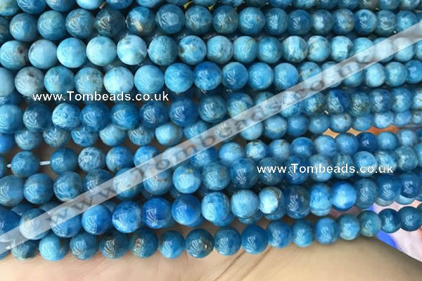 CAP589 15.5 inches 8mm round apatite gemstone beads