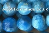 CAP590 15.5 inches 10mm round apatite beads wholesale