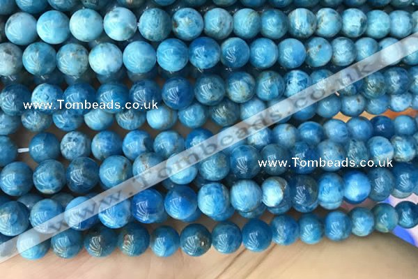 CAP590 15.5 inches 10mm round apatite beads wholesale