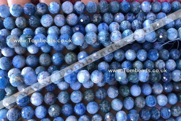 CAP594 15.5 inches 8mm faceted round apatite gemstone beads