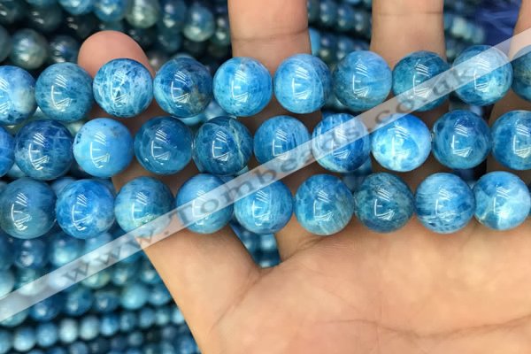 CAP609 15.5 inches 12mm round natural apatite gemstone beads