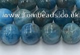 CAP630 15.5 inches 6mm round apatite beads wholesale