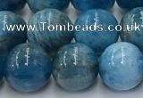 CAP632 15.5 inches 10mm round apatite beads wholesale