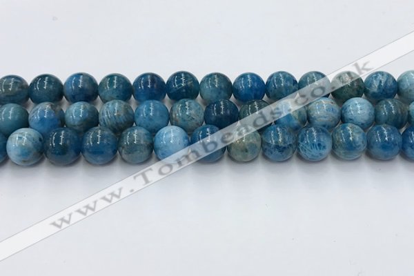 CAP632 15.5 inches 10mm round apatite beads wholesale