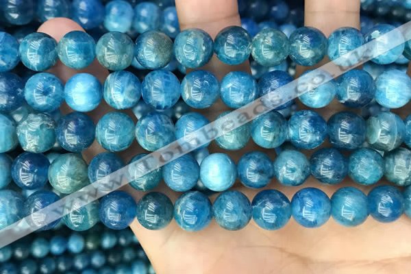 CAP653 15.5 inches 10mm round natural apatite beads wholesale