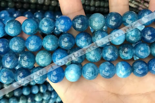 CAP654 15.5 inches 12mm round natural apatite beads wholesale