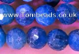 CAP658 15.5 inches 6mm faceted round apatite gemstone beads