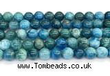 CAP757 15 inches 10mm round apatite gemstone beads wholesale
