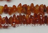 CAR115 16 inches 3*6mm - 4*8mm natural amber chips beads