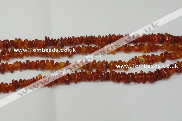 CAR115 16 inches 3*6mm - 4*8mm natural amber chips beads