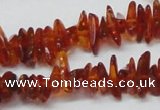 CAR117 16 inches 2*6mm - 3*10mm natural amber chips beads