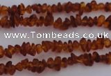 CAR201 24 inches 3*6mm natural amber chips beads wholesale