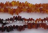 CAR202 24 inches 3*6mm natural amber chips beads wholesale