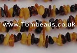 CAR204 24 inches 3*8mm natural amber chips beads wholesale