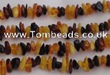 CAR205 32 inches 3*5mm natural amber chips beads wholesale