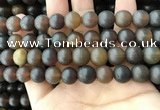 CAR221 15.5 inches 11mm round natural amber beads wholesale