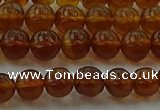 CAR526 15.5 inches 5mm - 6mm round natural amber beads wholesale