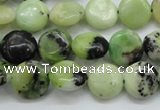 CAU201 15.5 inches 12mm flat round Australia chrysoprase beads