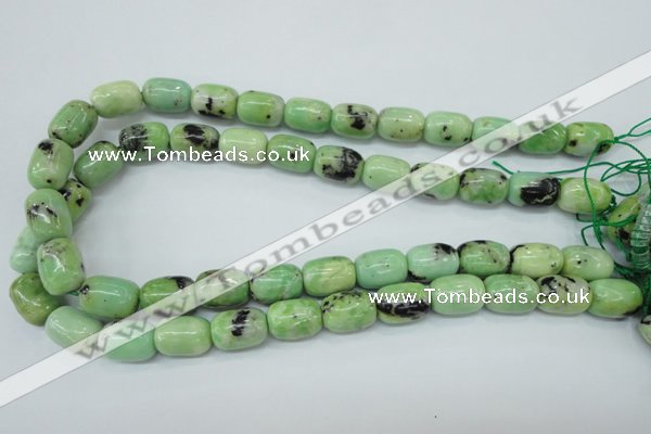 CAU208 15.5 inches 12*16mm drum Australia chrysoprase beads