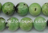 CAU215 15.5 inches 14mm round Australia chrysoprase beads