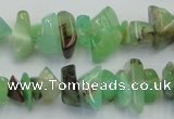 CAU407 15.5 inches 4*8mm - 6*14mm Australia chrysoprase chips beads