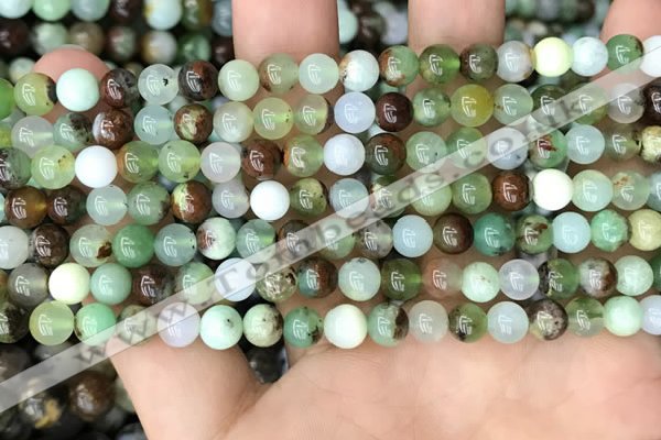 CAU435 15.5 inches 6mm round Australia chrysoprase beads wholesale