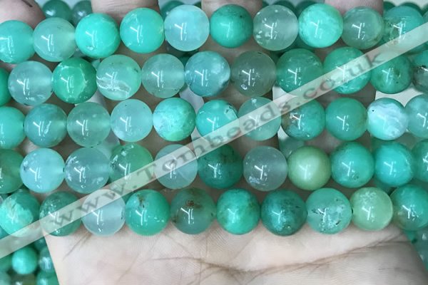 CAU445 15.5 inches 11mm round Australia chrysoprase beads