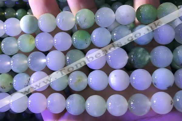 CAU475 15.5 inches 13mm round Australia chrysoprase beads