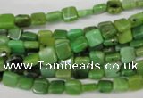 CAU50 15.5 inches 6*6mm square Australia chrysoprase beads wholesale