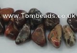 CBD16 15.5 inches 8*12mm chip brecciated jasper gemstone beads